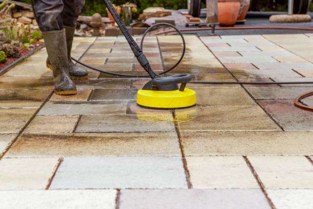 Best Roof Cleaning and Mildew Removal in Des Peres, MO